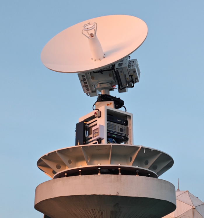 2026.3.12植樹節2