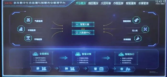 扶貧2